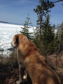 20140510_193048807_iOS