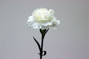 Revisiting Mother’s Day