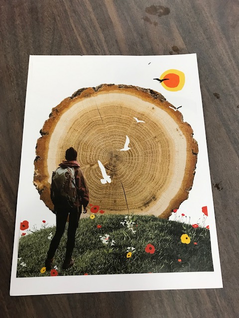 Woman Sees Passage of Time in a&nbsp;Tree